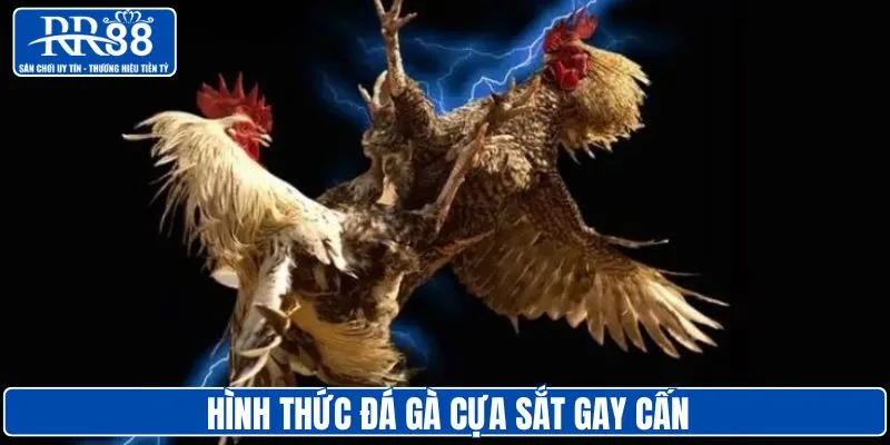 Đá gà cựa sắt gay cấn hơn cách chơi truyền thống